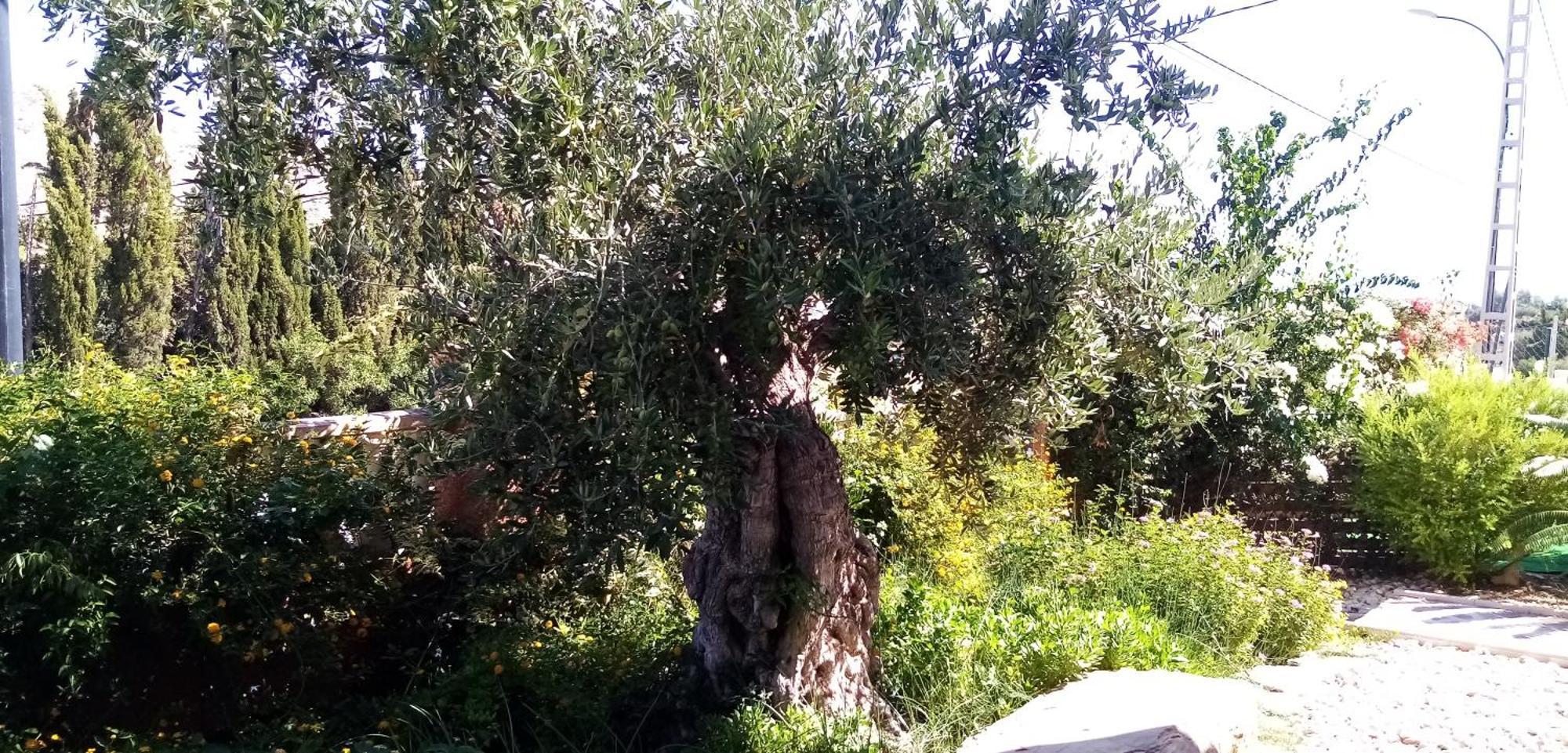 Villa Casa Kenaz El Campello Esterno foto